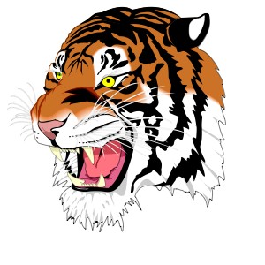 Tiger pride